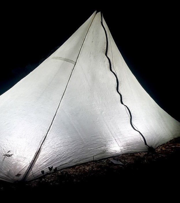 Essentialist Tent